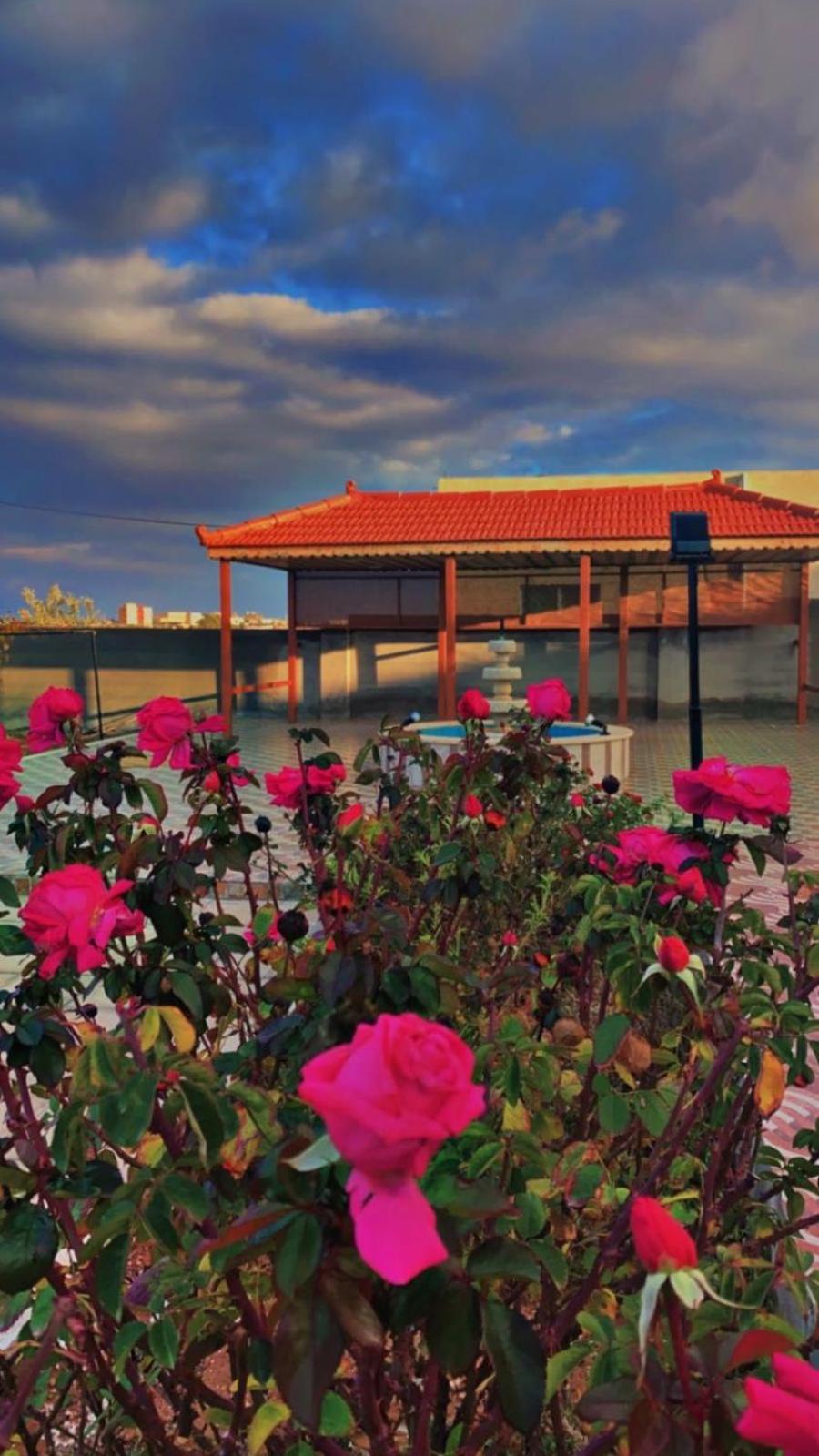 مزرعة النجم Najem Farm Villa Al-Qasr Exterior photo